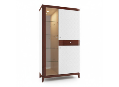 Moderne design vitrine glazen kast vitrinekast decoratie displaykast rek
