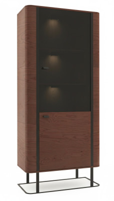 Vitrine Archiefkast Kast Vitrines Kantoor Woonkamer Hoge kast Plank