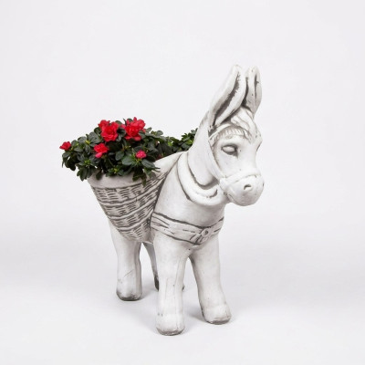 Bloempot plant pot decoratie natuur figuur bloempotten tuin vazen