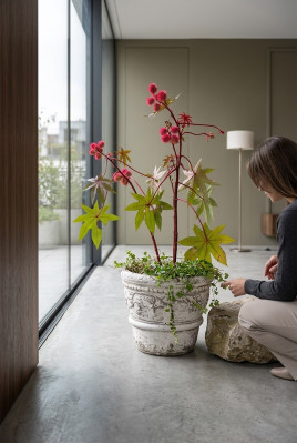 Bloempot Plantenbak Decoratie Natuur Figuur Bloempotten Vazen Tuin