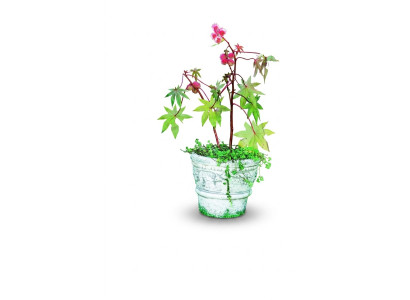 Bloempot Plantenbak Decoratie Natuur Figuur Bloempotten Vazen Tuin