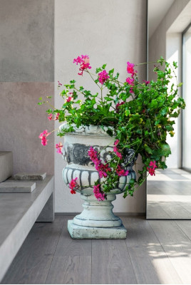 Bloembak Plantenpot Natuur Decoratie Figuur Vazen Bloempotten Tuin
