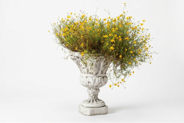 Bloembak Natuur Plantenpot Decoratie Figuur Vazen Bloempotten Tuin