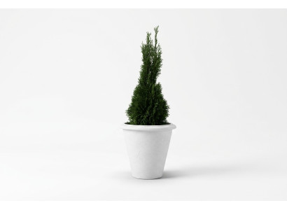 Natuur Bloempot Plantenpot Decoratie Figuur Vazen Tuin Bloempotten