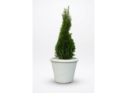 Bloempot Plantenpot Decoratie Figuur Vazen Tuin Bloempotten Natuur