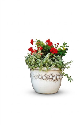 Bloempot Plant Pot Decoratie Figuur Natuur Vaas Tuin Bloempotten
