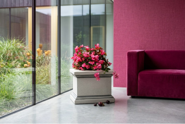 Bloempot plantenpoto