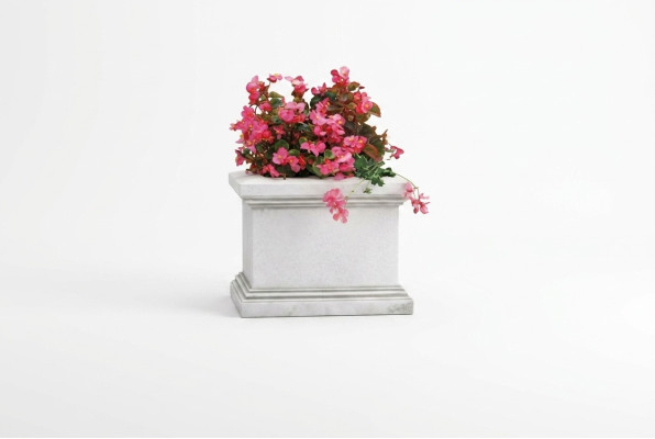 Bloempot plantenpoto