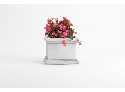 Bloempot plantenpoto