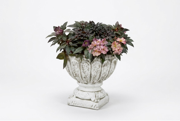 Figuur Bloempot Plant Wit Pot Decoratie Figuur Bloempotten Tuin