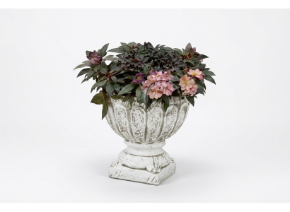 Figuur Bloempot Plant Wit Pot Decoratie Figuur Bloempotten Tuin
