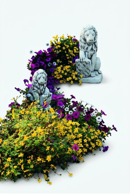 Tuindecoratie Leeuwenstandbeeld Beeld Sculpturen Ontwerper