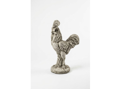 Tuindecoratie Kip Standbeeld Sculptuur Beelden Sculpturen Ontwerper