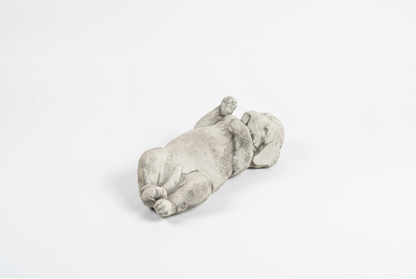 Tuindecoratie Hond Terras Steenfiguren Figuur Decoratief Wit Standbeeld