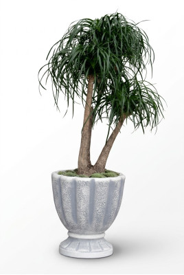 Bloempotten Doos Pot Bloemen Decoratieve Potten XXL Beton Tuin Terras