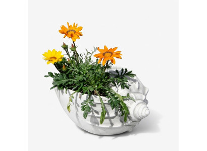 Ontwerp bloempot Top Planz emmer Decoratieve pot Potten Figuur Gezicht
