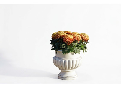 Bloempotten Decoratieve box Pot Bloempotten XXL Beton Tuin Terras