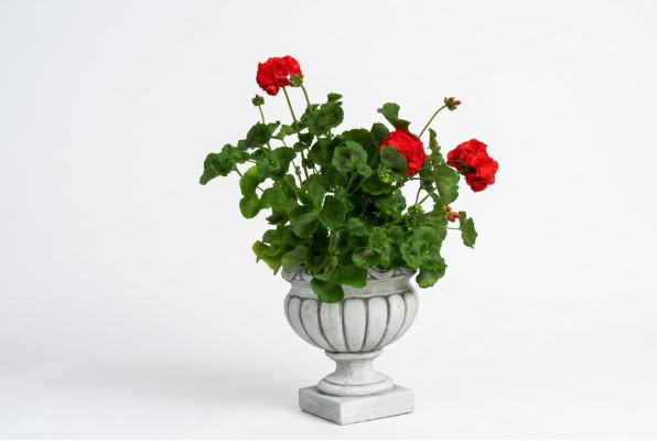 Ontwerp Bloempot Top Planz Decoratieve Kuip Vaas Potten Figuur Gezicht