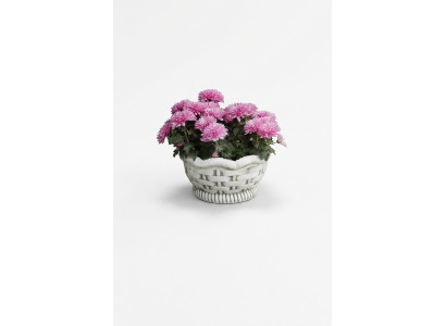 Bloempotten Doos Pot Bloemen Potten XXL Tuin Beton Decoratief Terras