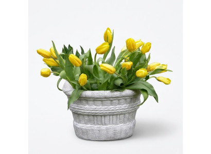 Ontwerp Bloempot Top Decoratieve Plantenbak Vaas Potten Figuur Gezicht