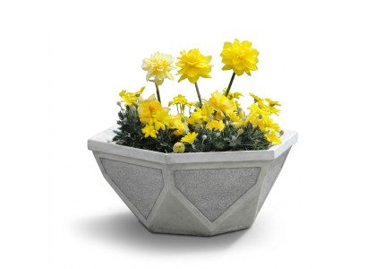 Bloempot Plant Natuur Pot Decoratie Tuin Vazen Beeld Bloempotten