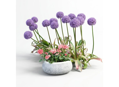 Bloempot Natuur Planten Pot Decoratie Tuin Vazen Figuur Bloempotten