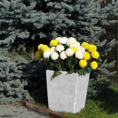 Bloempot Plantenbak Decoratie Vazen Tuinbeeld Natuur Bloempotten