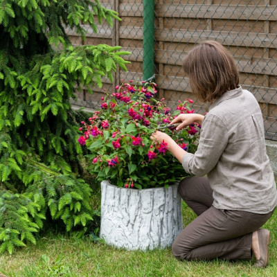 Bloempot Plantenpot Natuur Decoratie Vaas Tuinbeeld Bloempotten