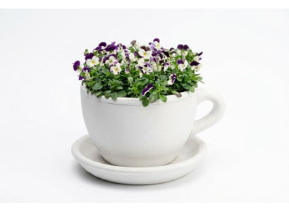 Bloembak plant pot natuur decoratie vazen figuur tuin bloempotten