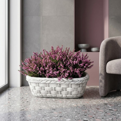 Bloembak plant natuur pot decoratie tuin vazen bloempotten figuur