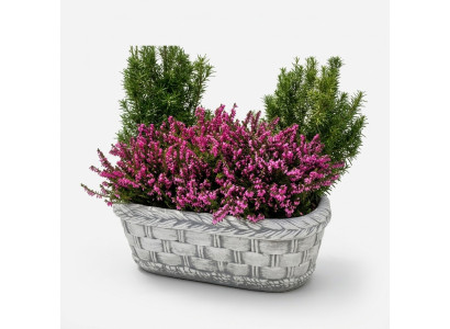 Bloembak plant natuur pot decoratie tuin vazen bloempotten figuur