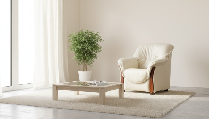 Klassieke fauteuil Tv-bank 1-zits bank Designer textielbanken Bekleding