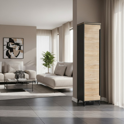 Ladekast Kast Highboard Sideboard Woonkamer Designer Ladenkast Archiefkast