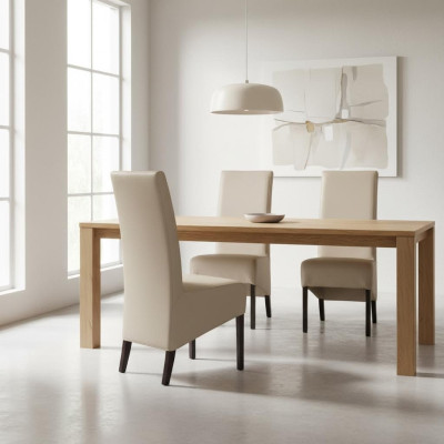 Ontwerp Armstoel Bekledingsset 2x Stoel Houten Stoelen Horeca Eetkamer Nieuw