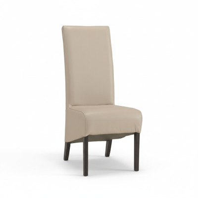 Ontwerp Armstoel Bekledingsset 2x Stoel Houten Stoelen Horeca Eetkamer Nieuw
