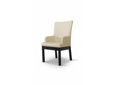 Eetkamerstoel set 20x stoel fauteuil hout leder bekleding stoelen gastro eetkamer