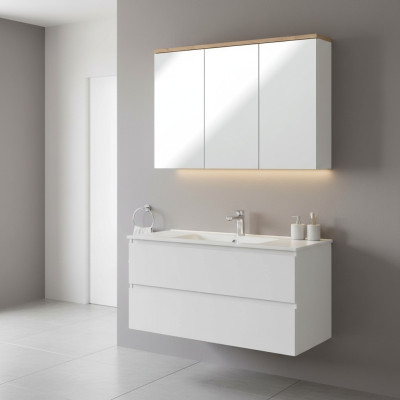 Spiegelkast Wandkast Badkamerkast met spiegel 100 cm