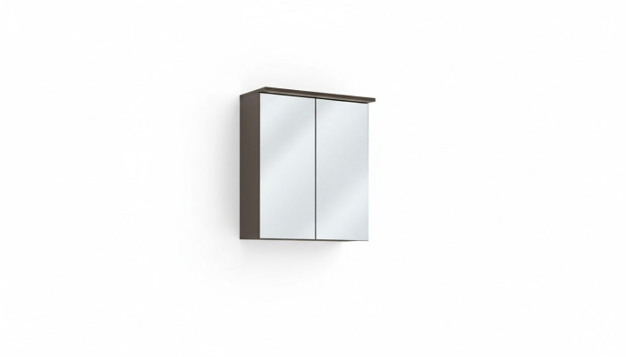 Spiegelkast wandkast badkamerkast met spiegel 60 cm LED