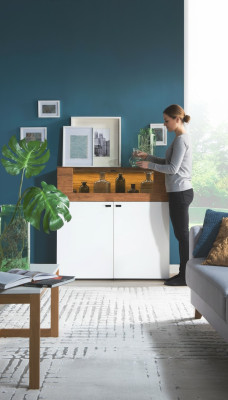 Kast van eikenhout Vitrinekast Ladenkasten Vitrinekasten Kledingkast Ontwerperskast