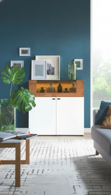 Kast van eikenhout Vitrinekast Ladenkasten Vitrinekasten Kledingkast Ontwerperskast