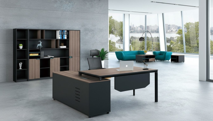 Archiefkast Boekenplank Planken Kast Luxe kantoordecoratie Meubels Kasten