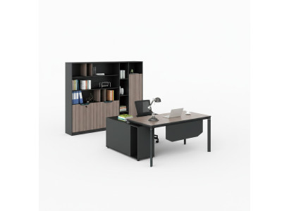 Aktenschrank Boekenkast Rekken Kast Luxe Decoratie Kantoor Meubilair Kasten