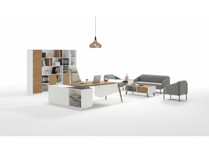 Archiefkast Boekenkast Planken Kast Decoratie Luxe Kantoor Meubels Kasten