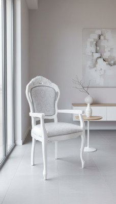 Stoel Wit Zilver Ontwerp Woonkamer Eetkamer Hout Stoelen Bekleed Gemaakt in Italië