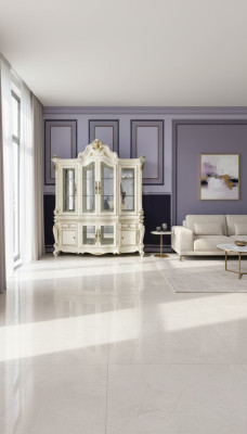 Vitrine kast Vitrine decoratie Woonkamer Bekijk kasten Barok design