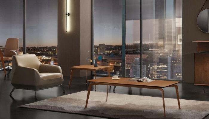 Fauteuil Lounge Luxe TV Clubstoel Zitplaats Ontwerp Fauteuil Bank Sofa