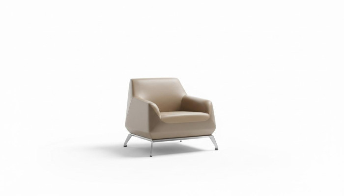Fauteuil Lounge Luxe TV Clubstoel Zitplaats Ontwerp Fauteuil Bank Sofa