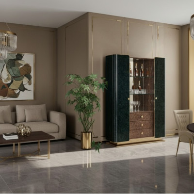 Vitrine kast woonkamer kasten vitrines glazen kast houten kast glas hout