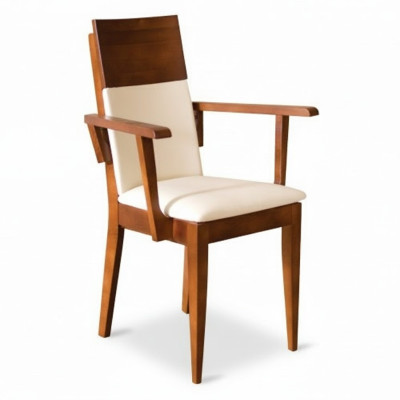 Stoelen Stoel Fauteuil Bekleding Massief Hout Textiel Hout Fauteuil Leder Nieuw Lounge