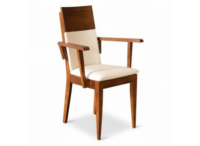 Stoelen Stoel Fauteuil Bekleding Massief Hout Textiel Hout Fauteuil Leder Nieuw Lounge